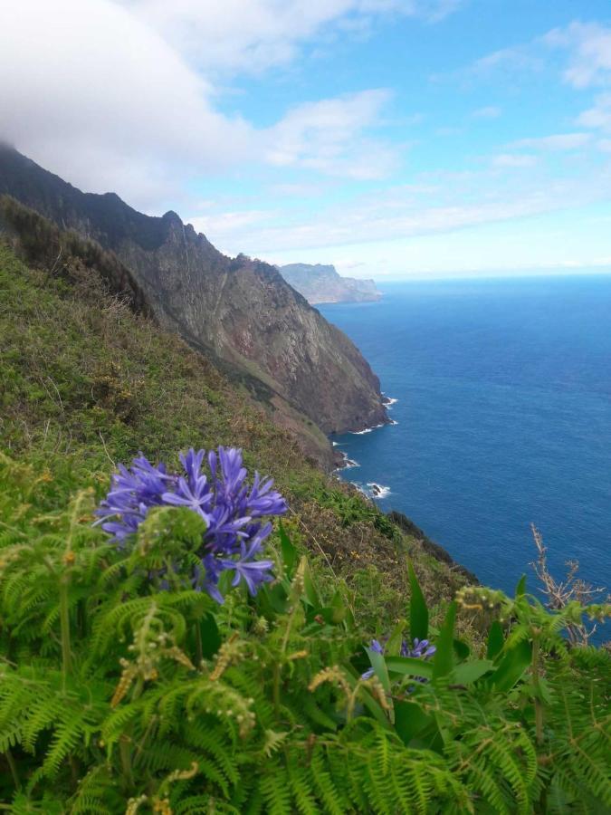 Funchal Bay View Holiday Rental Bagian luar foto