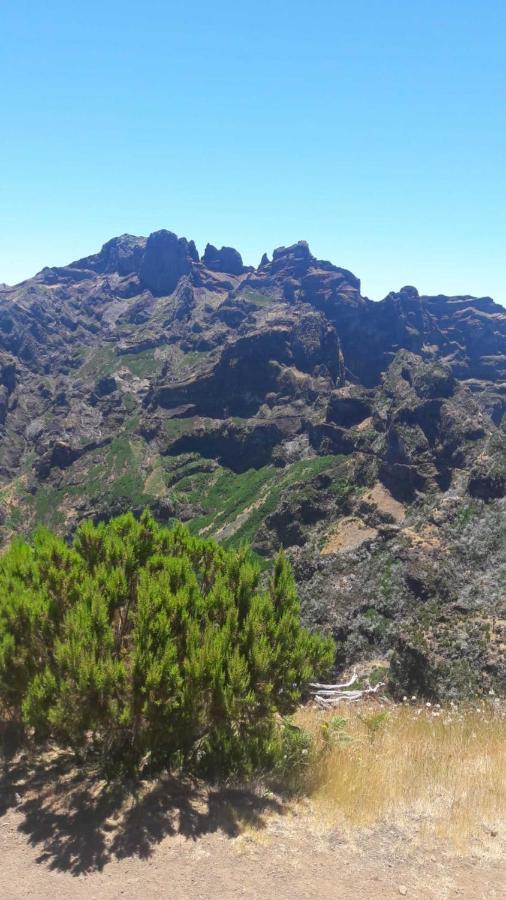 Funchal Bay View Holiday Rental Bagian luar foto